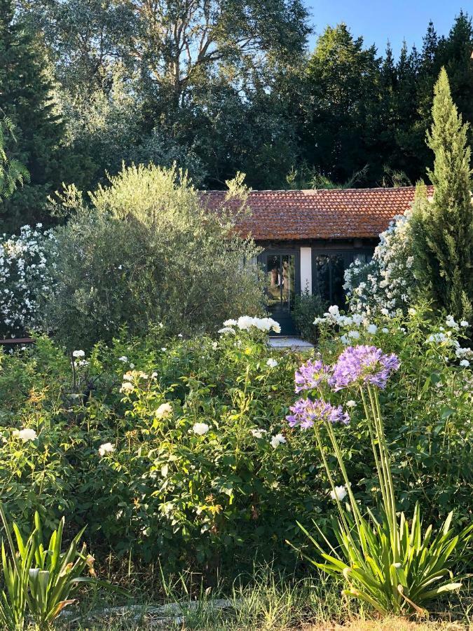 B&B Mas De Caustes Saint-Rémy-de-Provence Exteriör bild