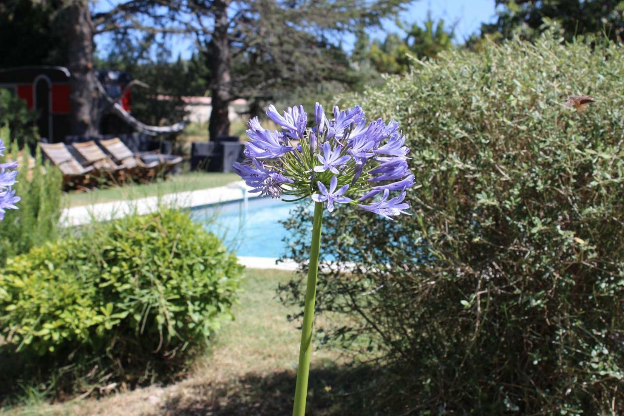 B&B Mas De Caustes Saint-Rémy-de-Provence Exteriör bild