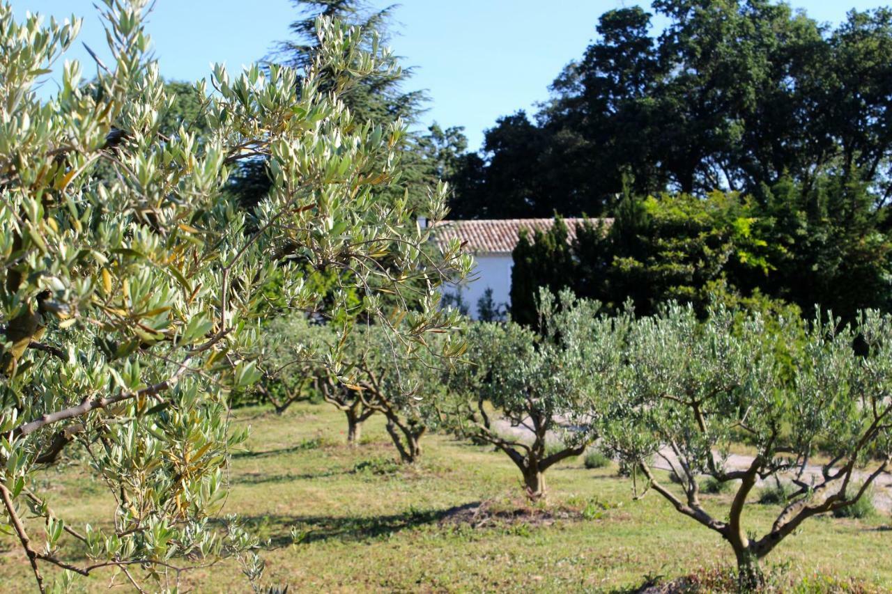 B&B Mas De Caustes Saint-Rémy-de-Provence Exteriör bild