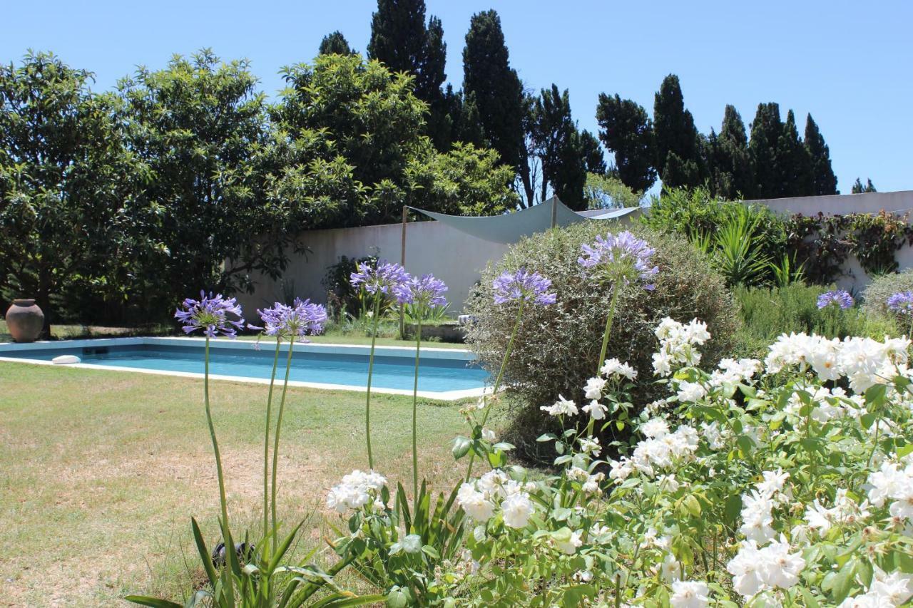 B&B Mas De Caustes Saint-Rémy-de-Provence Exteriör bild