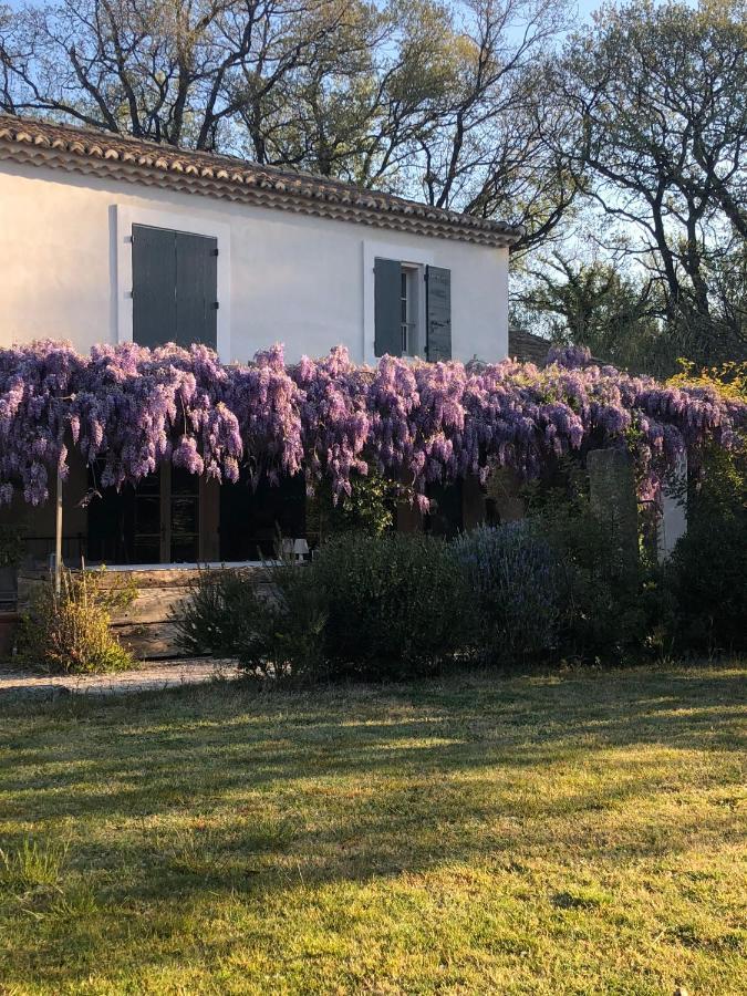 B&B Mas De Caustes Saint-Rémy-de-Provence Exteriör bild